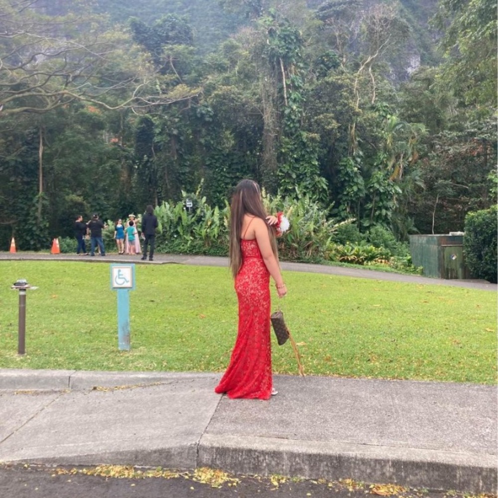 Red dress from David’s bridal, only used it once.